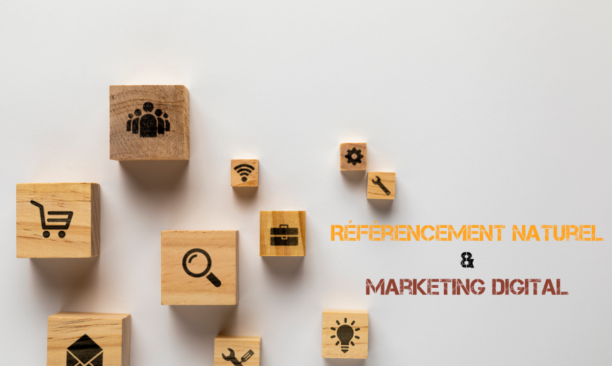 Presentation-referencement-naturel-et-martketing-digital-cube-bois-pictogrammes